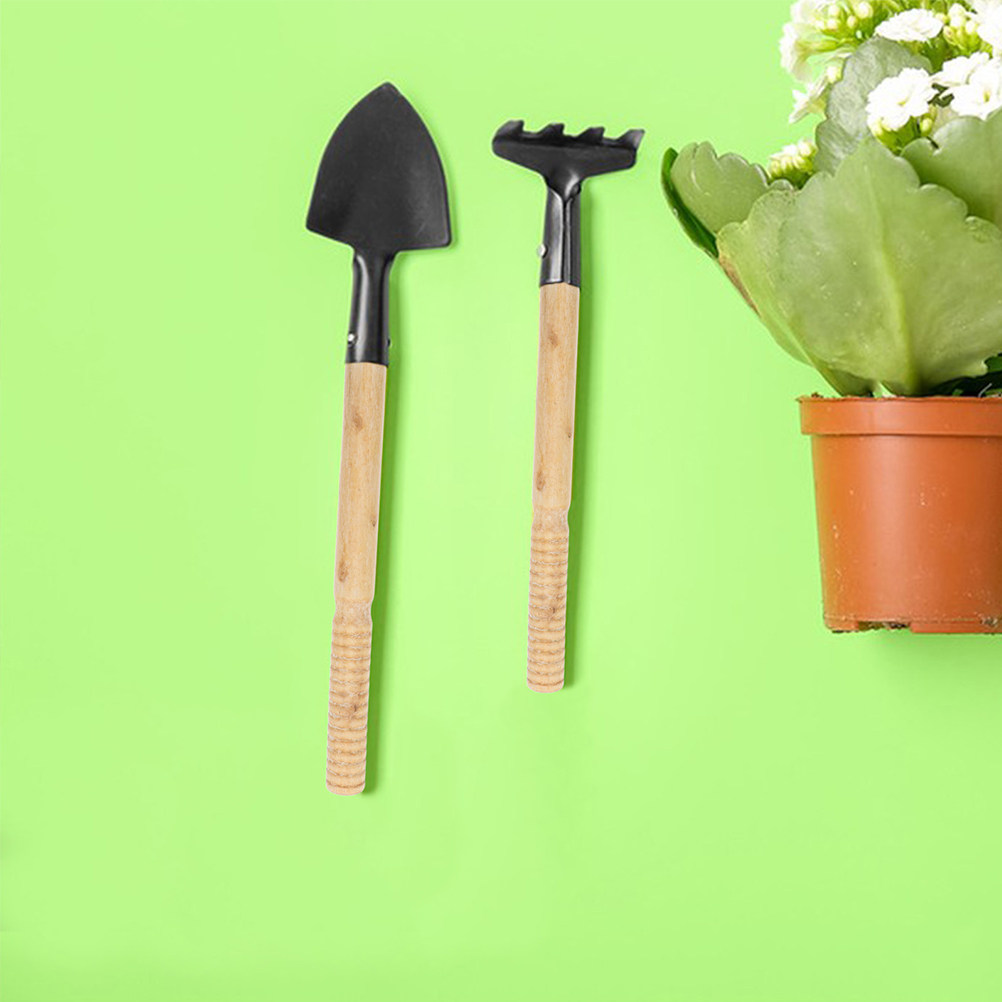 Gardening Tools Vegetables - 5 Stück robuste Holzgriffe als Ersatz
