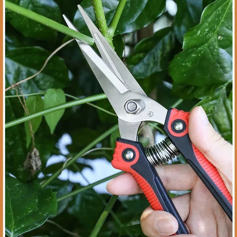 NEWSHARK Edelstahl-Gartenscher – Gardening Tools Sharp Bewertung und Preis