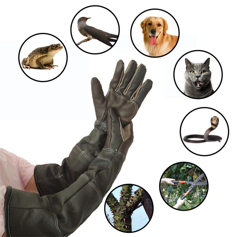 Haustierhandschuhe, Rindsleder – Gardening Tools Gloves Bewertung und Preis