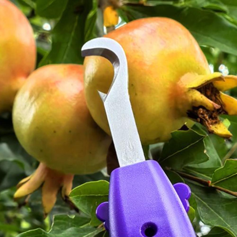Tragbares Multifunktionales Ga – Gardening Tools Vegetables Bewertung und Preis