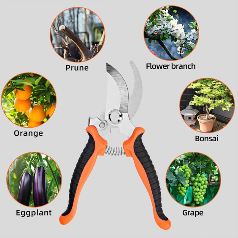 Gartenschere mit ergonomischem – Gardening Tools Sharp Bewertung und Preis