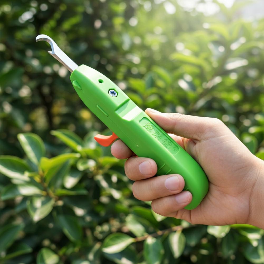 Multifunktionales Gartenwerkze – Gardening Tools Vegetables Bewertung und Preis