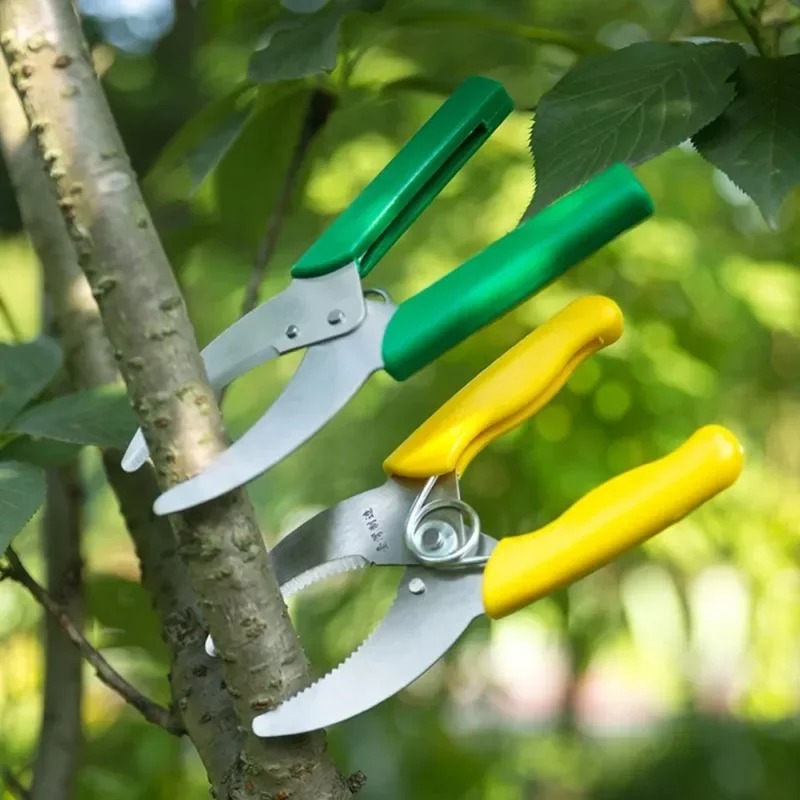 Scharfes Schälmesser für Garte – Gardening Tools Sharp Bewertung und Preis