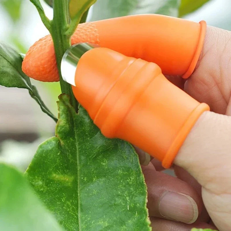 Daumenmesser für Gemüseernte:  – Gardening Tools Vegetables Bewertung und Preis