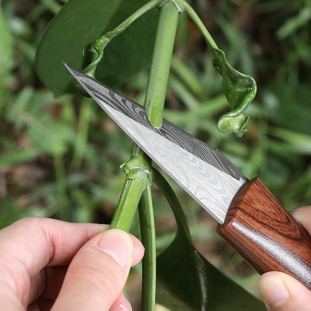 Scharfes Veredelungsmesser mit – Gardening Tools Sharp Bewertung und Preis