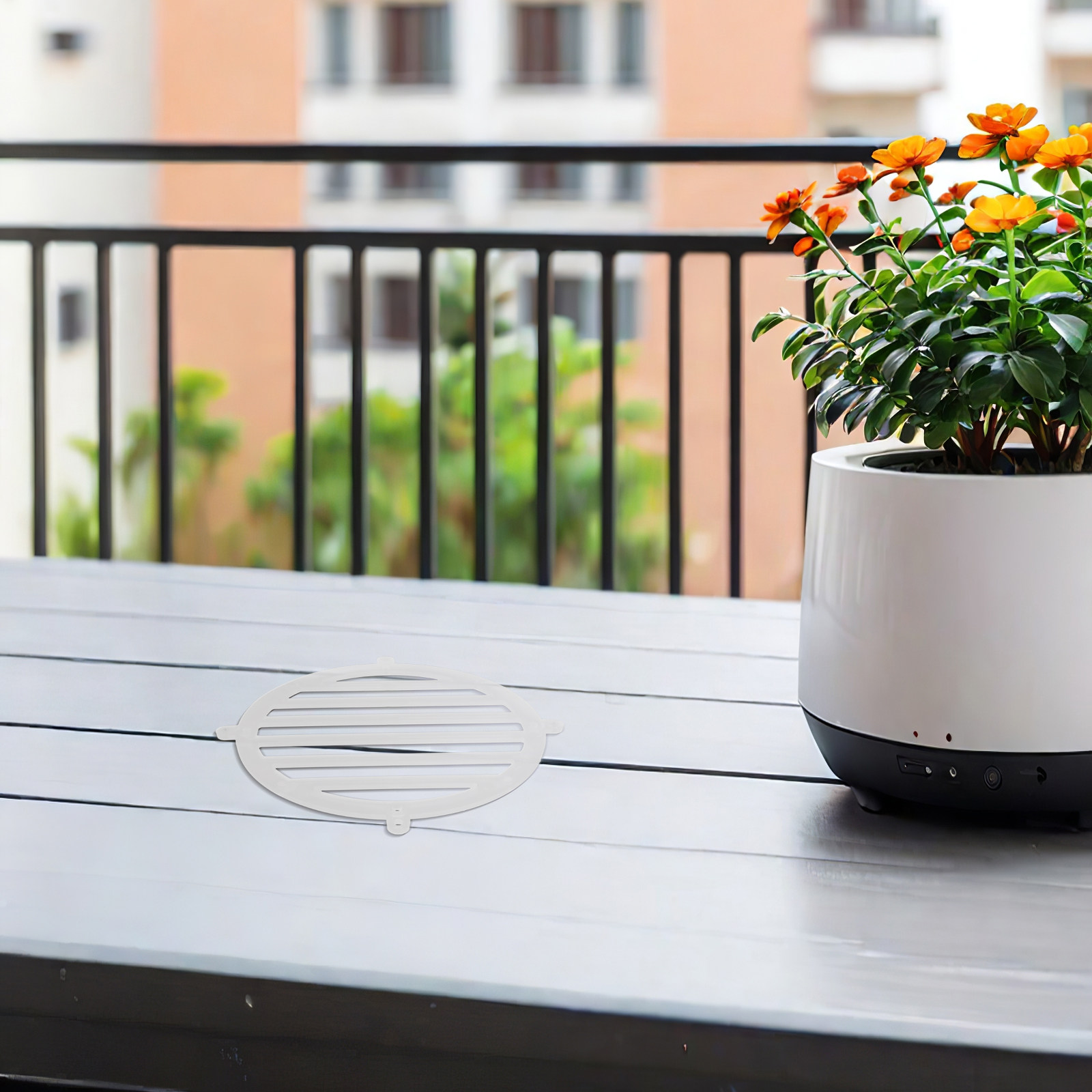 2 Stück Platycerium-Farn-Monta – Vertical Wall Planter Bewertung und Preis