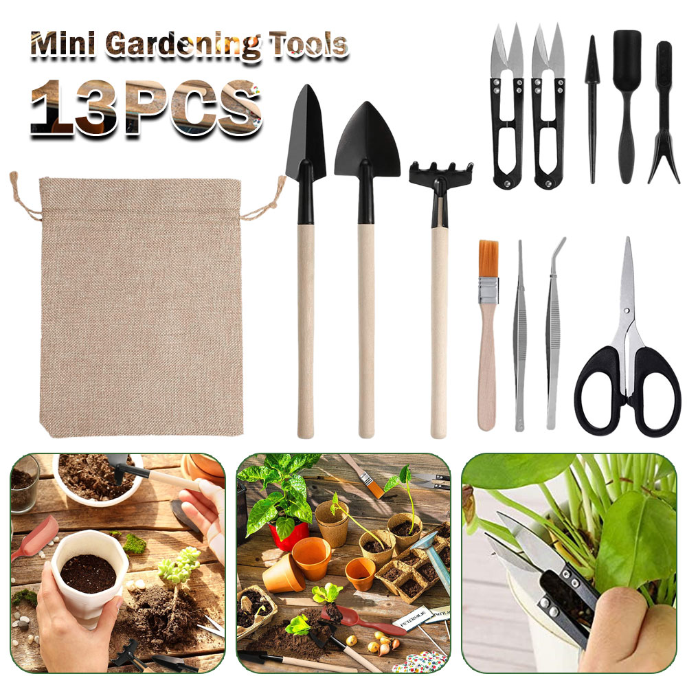 Sukkulenten Werkzeuge Mini Gar – Gardening Tool Diy Bewertung und Preis