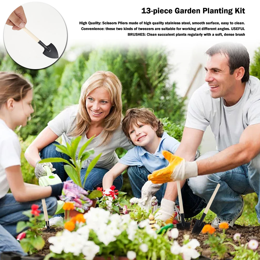 Sukkulenten Werkzeuge Mini Gar – Gardening Tool Diy Bewertung und Preis