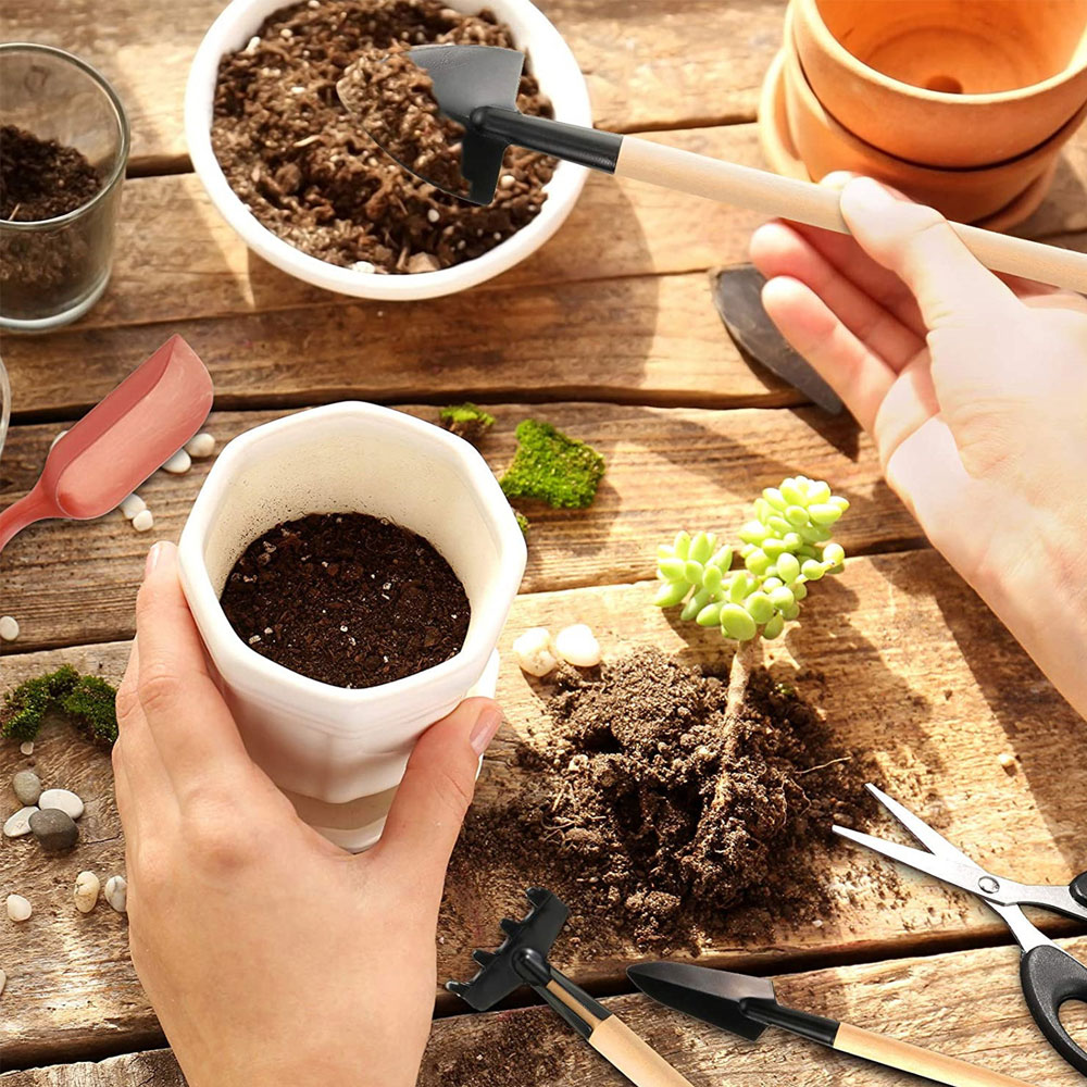 Sukkulenten Werkzeuge Mini Gar – Gardening Tool Diy Bewertung und Preis