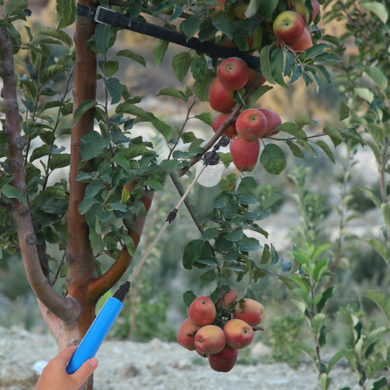 Handbestäubungssprüher für Obs – Gardening Tools Vegetables Bewertung und Preis