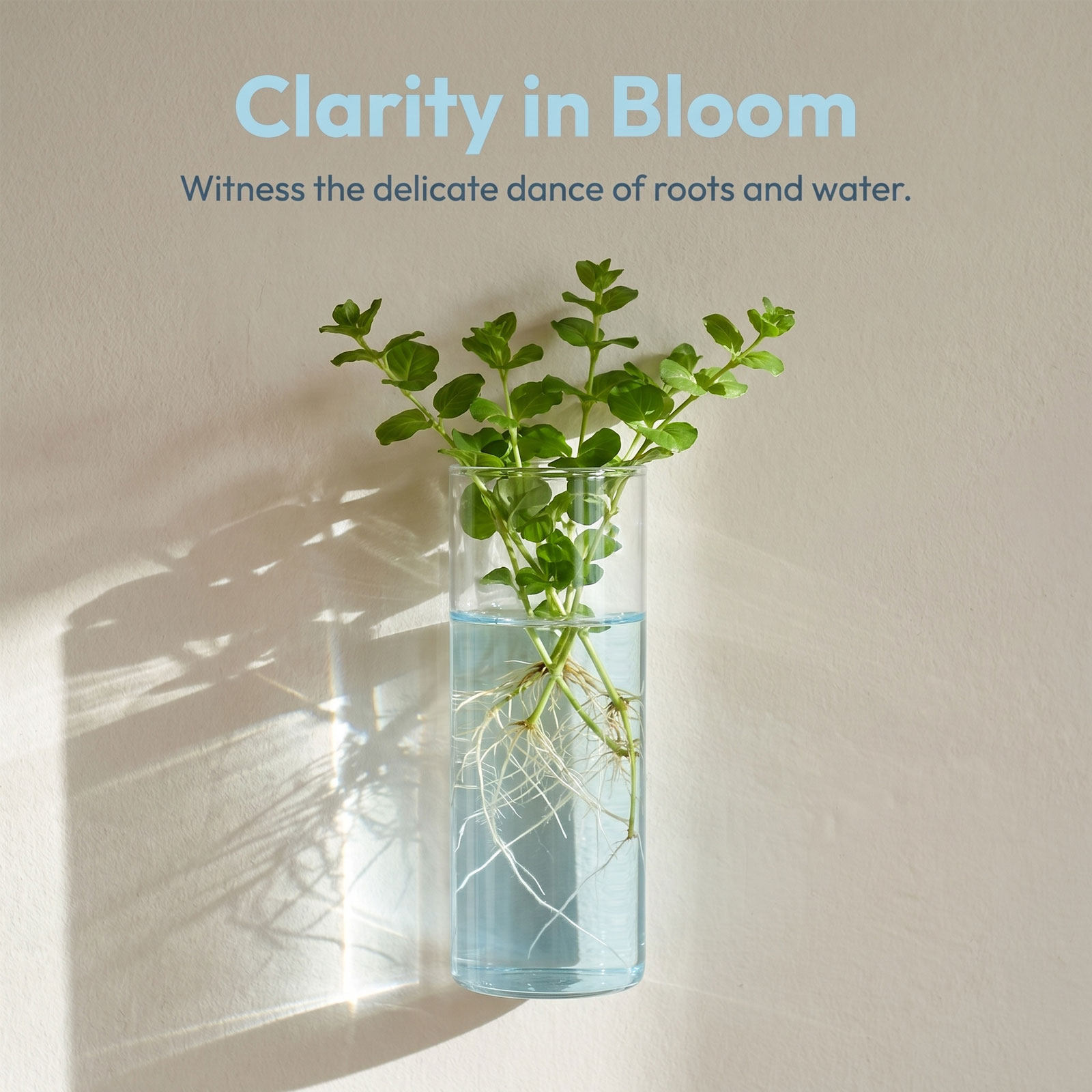 5 Stück Zylinder-Glas-Wandvase – Vertical Wall Planter Bewertung und Preis